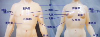 介護塾 身体編 身体の名称 胸部