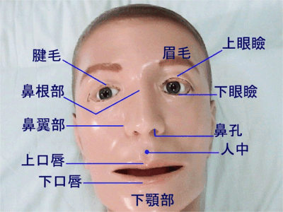 介護塾 身体編 身体の名称 顔